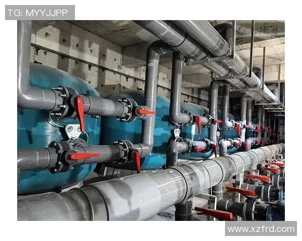 泳池用品大集合：必备泳池清洁设备、水质维护工具与休闲娱乐设备推荐