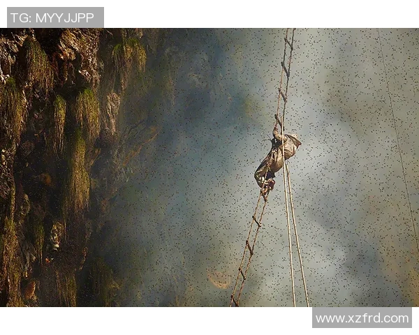 北京攀岩队的阵地战揭秘：探索攀岩热点与发展潜力