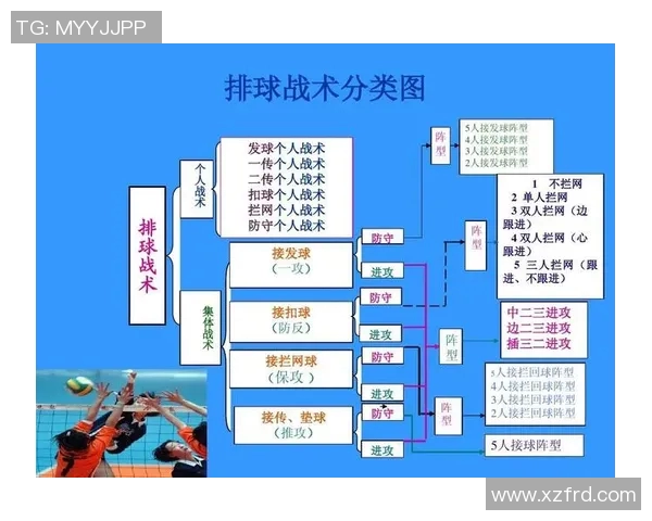 成都排球队反击战术深度解析与实战应用探讨