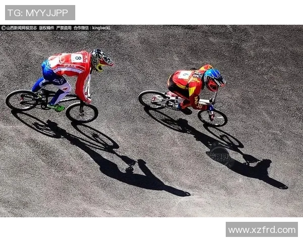 杭州极限运动队团队协作模式深度解析与对比研究