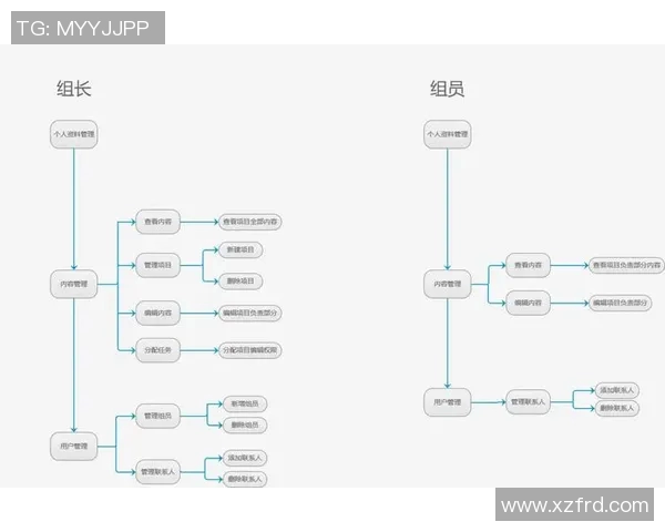 深圳排球队团队协作的独特优势与其他队伍的深度对比分析