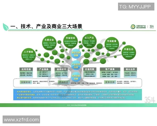 酒业创新与可持续发展趋势探析：从传统酿造到现代科技融合的未来之路