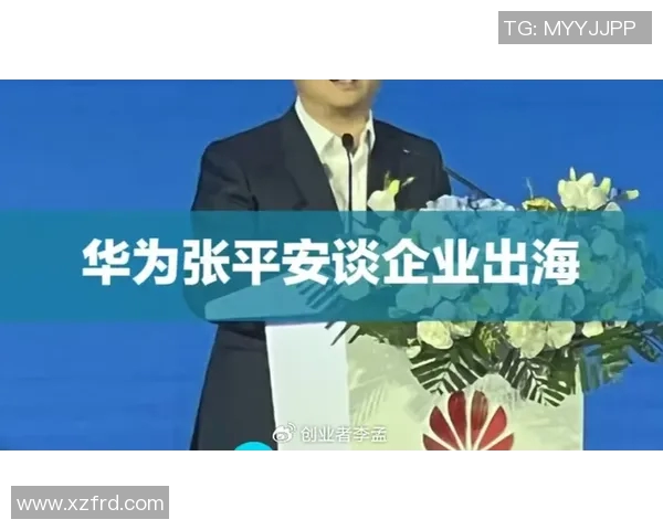 专访陈秀英揭秘和平精英成功背后的策略与创新之路 专访陈秀英揭秘和平精英成功背后的策略与创新之路